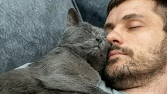 Jak kočka vyjadřuje svou lásku: Pokud tohle dělá, jste její nejoblíbenější člověk